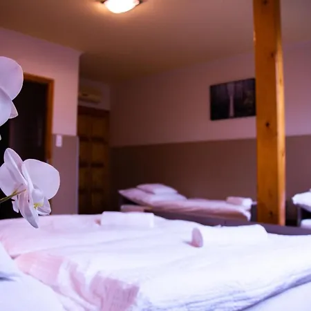 Huli Panzio Guest house 3*