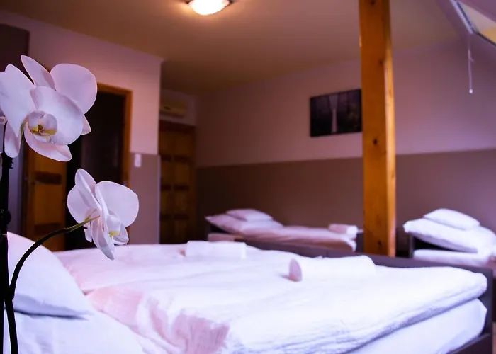 Huli Panzio Casa de hóspedes 3*