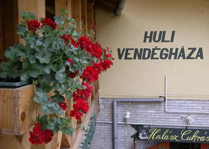 Huli Panzio 3* Tokaj